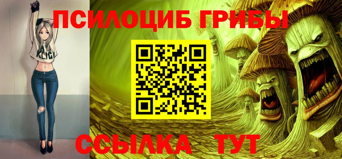 Черкесск  Галлюциногенные грибы мухоморы  цена   Псилоцибиновые грибы Psilocybe  Вход с VPN 